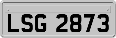 LSG2873