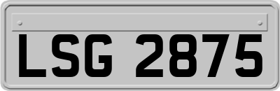 LSG2875