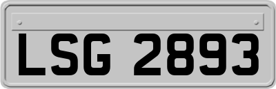 LSG2893