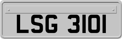 LSG3101