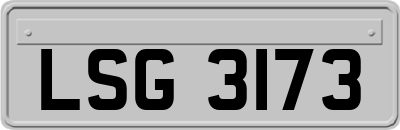 LSG3173