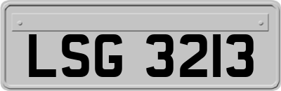 LSG3213