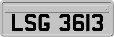 LSG3613