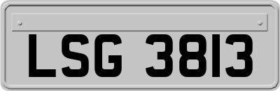 LSG3813