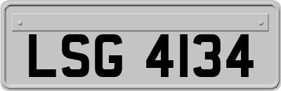LSG4134