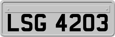 LSG4203