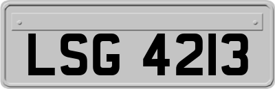 LSG4213