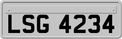 LSG4234