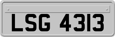LSG4313