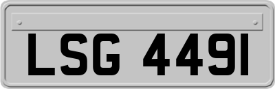 LSG4491