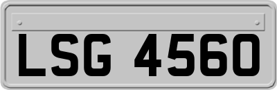 LSG4560