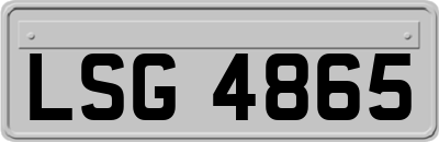 LSG4865