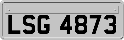 LSG4873