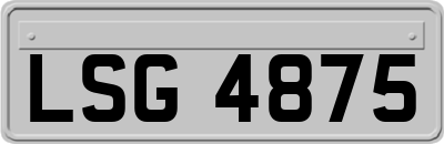 LSG4875