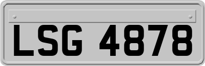 LSG4878