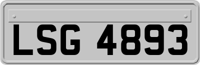 LSG4893