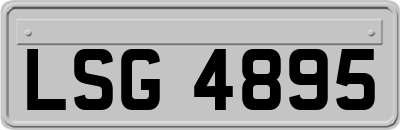 LSG4895