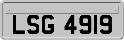 LSG4919