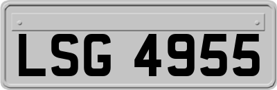LSG4955