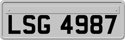 LSG4987