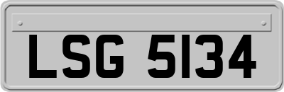 LSG5134