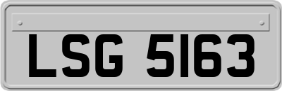 LSG5163