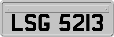 LSG5213