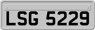 LSG5229