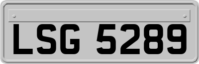 LSG5289