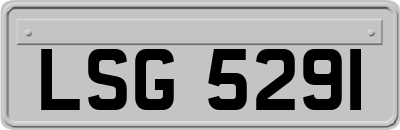 LSG5291
