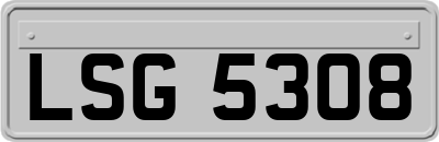 LSG5308