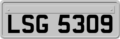 LSG5309
