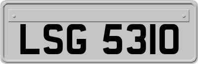 LSG5310