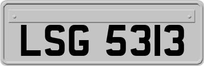 LSG5313