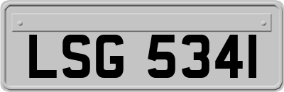 LSG5341