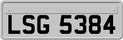 LSG5384