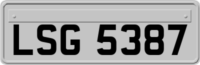 LSG5387