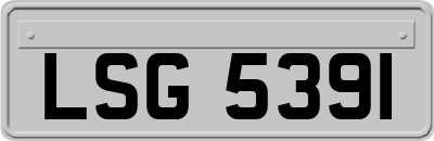 LSG5391