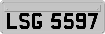 LSG5597