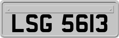 LSG5613