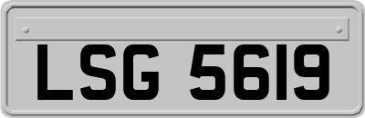 LSG5619