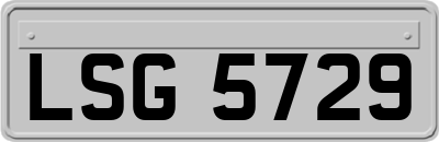 LSG5729