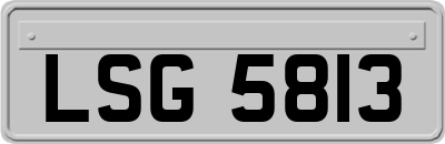 LSG5813