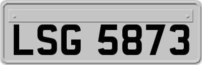 LSG5873