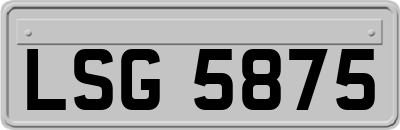 LSG5875