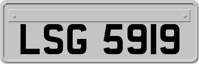 LSG5919