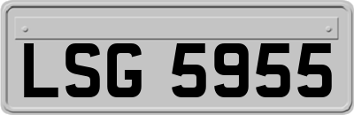LSG5955
