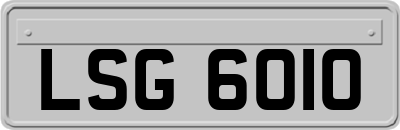 LSG6010