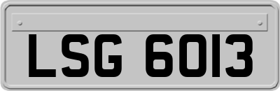 LSG6013