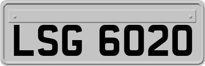 LSG6020